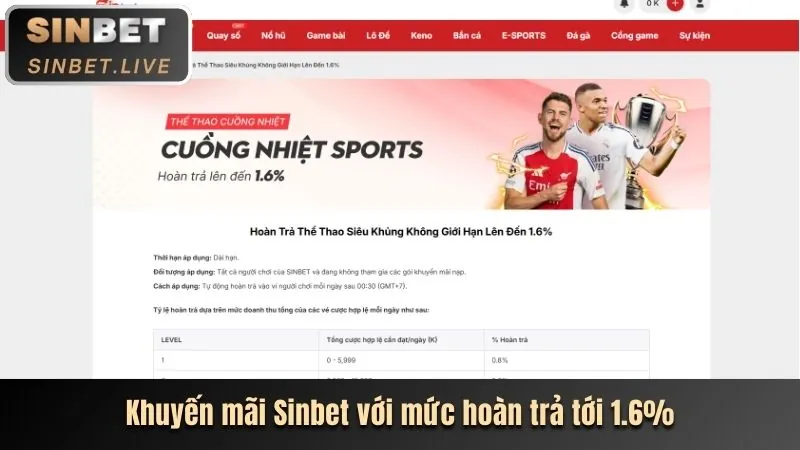 Biểu đồ hiển thị lịch sử giao dịch cá cược của người chơi 8s97
